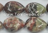 CRA19 15.5 inches 18*25mm flat teardrop natural rainforest agate beads