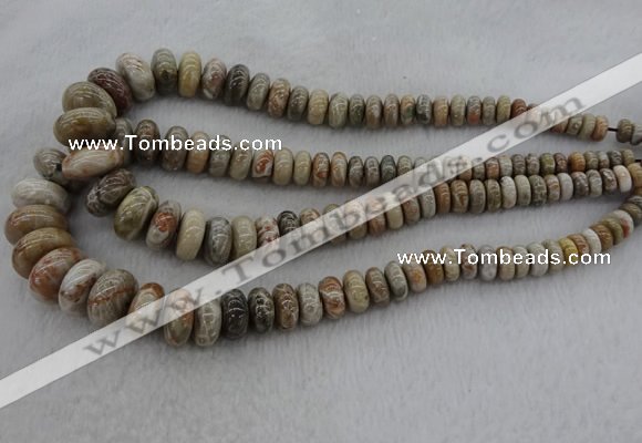 CRB1109 15.5 inches 5*8mm - 9*18mm rondelle chrysanthemum agate beads