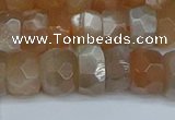 CRB1470 15.5 inches 6*10mm faceted rondelle moonstone beads