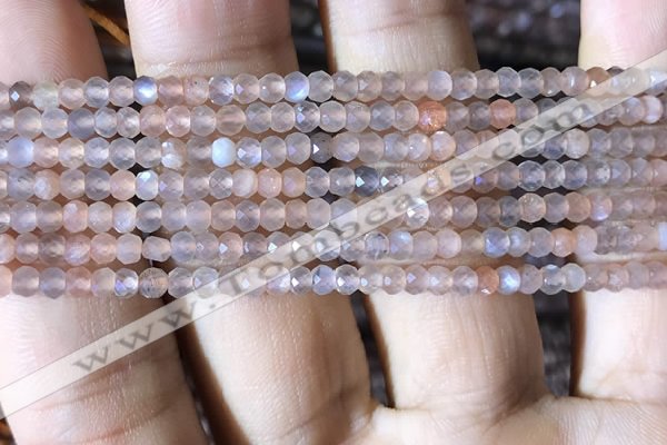 CRB2620 15.5 inches 2*3mm faceted rondelle moonstone beads