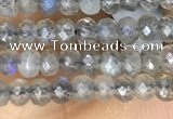 CRB3121 15.5 inches 2*3mm faceted rondelle tiny labradorite beads