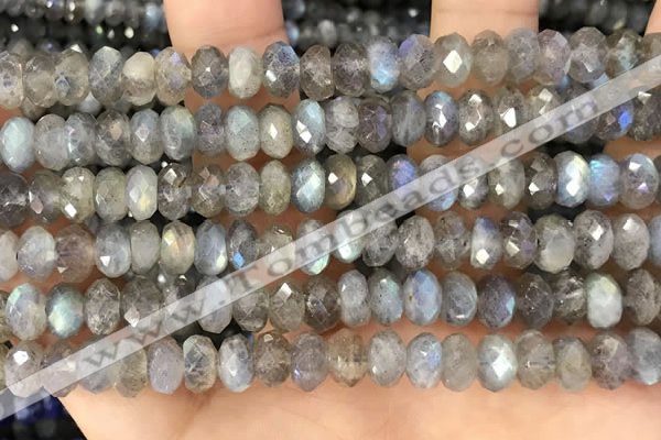 CRB3213 15.5 inches 5*10mm faceted rondelle labradorite beads