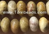 CRB5321 15.5 inches 4*6mm rondelle fossil coral beads wholesale