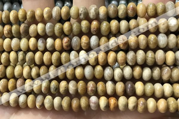 CRB5321 15.5 inches 4*6mm rondelle fossil coral beads wholesale