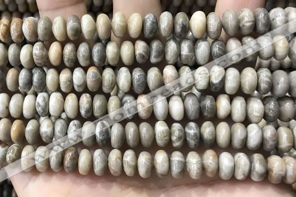 CRB5336 15.5 inches 5*8mm rondelle fossil coral beads wholesale