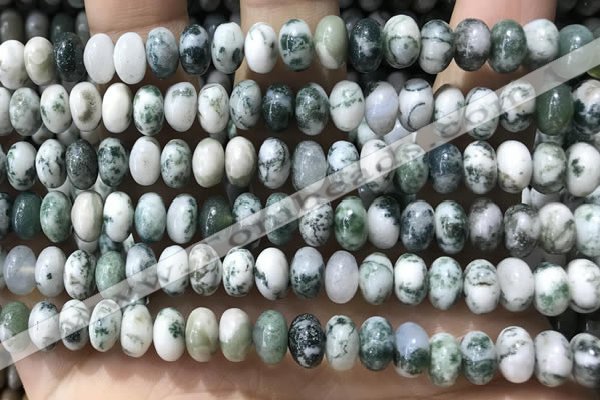 CRB5338 15.5 inches 5*8mm rondelle tree agate beads wholesale