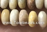 CRB5355 15.5 inches 5*8mm rondelle fossil coral beads wholesale