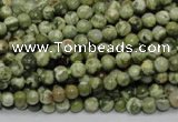 CRH110 15.5 inches 4mm round rhyolite gemstone beads wholesale