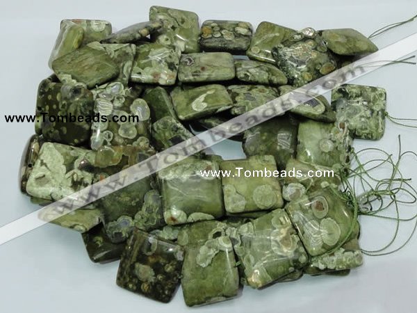 CRH20 15.5 inches 30*30mm square rhyolite beads wholesale