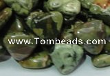 CRH32 15.5 inches 16*16mm triangle rhyolite beads wholesale