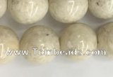 CRJ623 15.5 inches 10mm round white fossil jasper beads wholesale