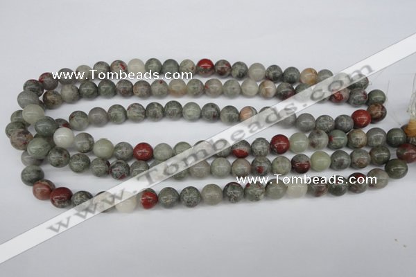 CRO190 15.5 inches 10mm round bloodstone beads wholesale