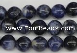 CRO239 15.5 inches 10mm round sodalite gemstone beads wholesale