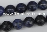 CRO344 15.5 inches 12mm round sodalite gemstone beads wholesale