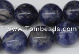 CRO422 15.5 inches 16mm round sodalite gemstone beads wholesale