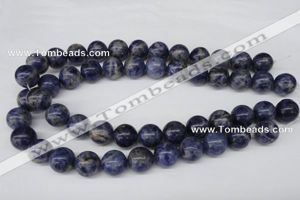 CRO422 15.5 inches 16mm round sodalite gemstone beads wholesale