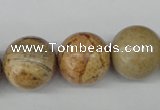 CRO485 15.5 inches 18mm round picture jasper beads wholesale