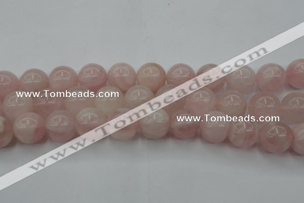 CRQ675 15.5 inches 16mm round rose quartz beads wholesale