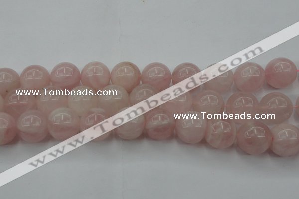 CRQ676 15.5 inches 16mm round rose quartz beads wholesale