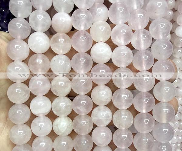 CRQ925 15 inches 10mm round natural rose quartz beads wholesale