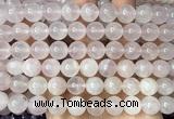 CRQ925 15 inches 10mm round natural rose quartz beads wholesale