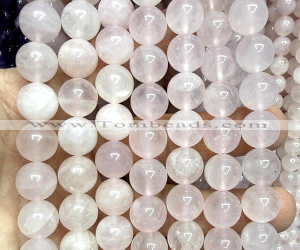 CRQ926 15 inches 10mm round natural rose quartz beads wholesale