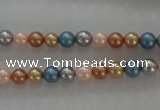 CSB1015 15.5 inches 6mm round mixed color shell pearl beads