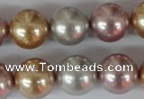 CSB103 15.5 inches 16mm round mixed color shell pearl beads