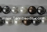 CSB1054 15.5 inches 10mm round mixed color shell pearl beads