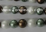 CSB1055 15.5 inches 10mm round mixed color shell pearl beads