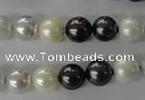 CSB1056 15.5 inches 10mm round mixed color shell pearl beads