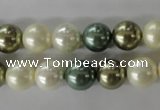 CSB1070 15.5 inches 10mm round mixed color shell pearl beads