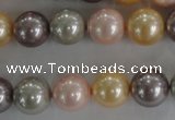 CSB1093 15.5 inches 12mm round mixed color shell pearl beads