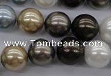 CSB1121 15.5 inches 14mm round mixed color shell pearl beads