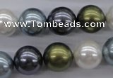 CSB1124 15.5 inches 14mm round mixed color shell pearl beads