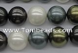 CSB1125 15.5 inches 14mm round mixed color shell pearl beads