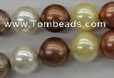 CSB1132 15.5 inches 14mm round mixed color shell pearl beads