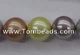 CSB1155 15.5 inches 16mm round mixed color shell pearl beads