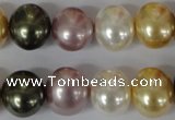 CSB156 15.5 inches 12*15mm – 13*16mm oval mixed color shell pearl beads