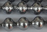 CSB176 15.5 inches 16*17mm lantern shape shell pearl beads