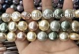 CSB2152 15.5 inches 16mm flat round mixed shell pearl beads