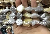 CSB2168 15.5 inches 16*16mm - 18*20mm baroque mixed shell pearl beads