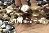 CSB2169 15.5 inches 16*16mm - 18*20mm baroque mixed shell pearl beads