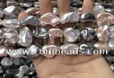 CSB2175 15.5 inches 16*16mm - 20*22mm baroque mixed shell pearl beads