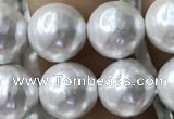 CSB2184 15.5 inches 6mm ball shell pearl beads wholesale