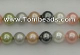 CSB310 15.5 inches 8mm round mixed color shell pearl beads