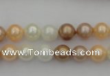 CSB311 15.5 inches 8mm round mixed color shell pearl beads