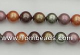 CSB312 15.5 inches 8mm round mixed color shell pearl beads