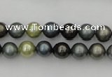 CSB316 15.5 inches 8mm round mixed color shell pearl beads