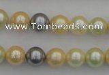 CSB333 15.5 inches 10mm round mixed color shell pearl beads